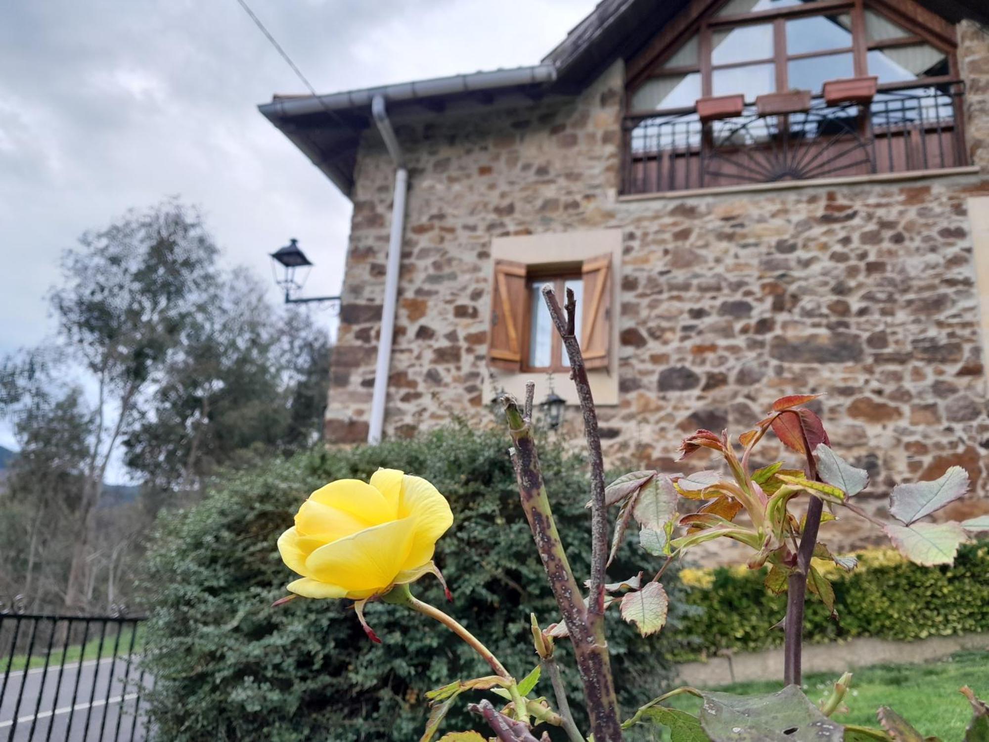 Urrezko Ametsa Guest House Sopuerta Luaran gambar